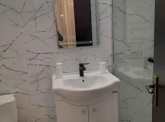 公寓 De Inchiriat Darius 16 , 2