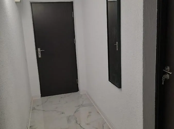 De Inchiriat Darius 16 , 2 *