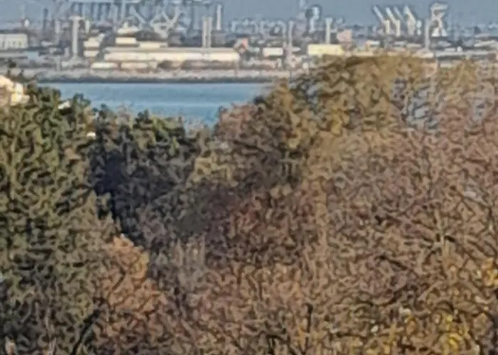 De Inchiriat Darius 16 , 2 * 艾福雷诺德